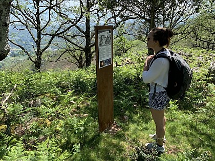 Vestiges de l'exploitation sidérurgique