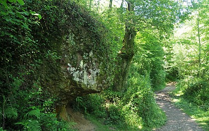 Un bloc de poudingue (1,4 km)