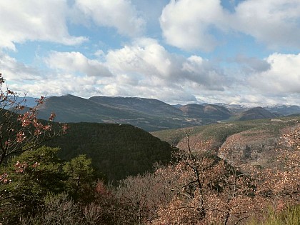 Point de vue