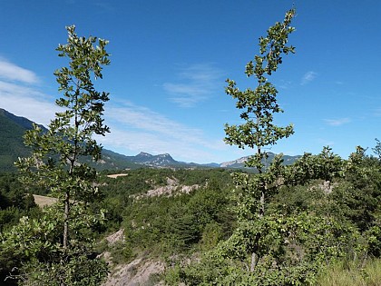 Point de vue
