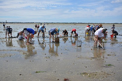 APLAV - ASSOCIATION DE PÊCHE DE LOISIRS ATLANTIQUE VENDÉE