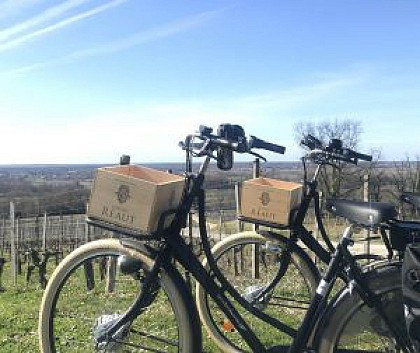 Parcours à vélo éléctrique au Château Réaut