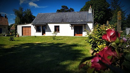 Les Hêtres Inséparables - Saint-Martin-de-Blagny