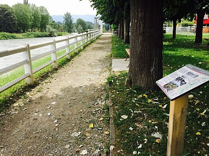 The walk in the park