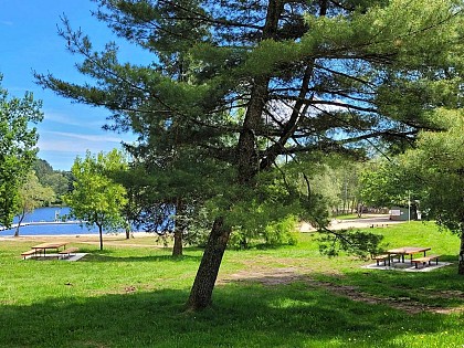 Aire de pique nique de l'Etang de Miel
