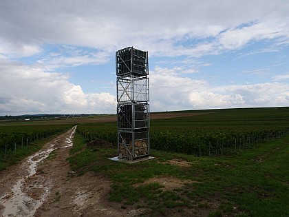 Loge de vignes - L'éloge des vignes