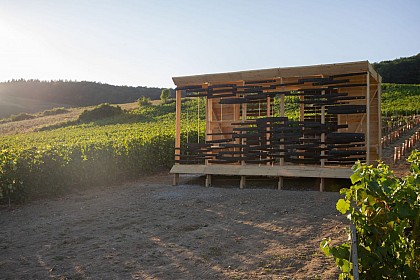 Loge de vignes - L'écume des vignes