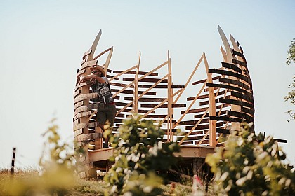 Loge de vignes - Douelle'47