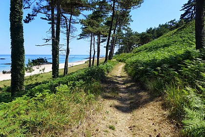 En chemin vers l'Îlot Saint-Michel