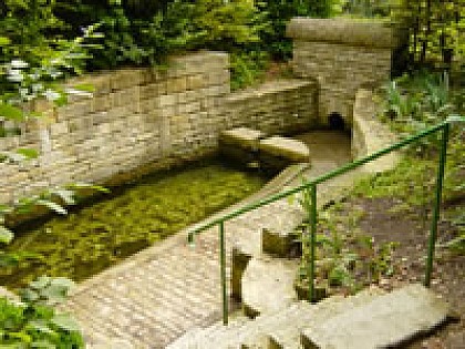 Le circuit des lavoirs - Asinerie et savonnerie du Marais Poitevin