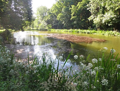 Étang de la Michochène