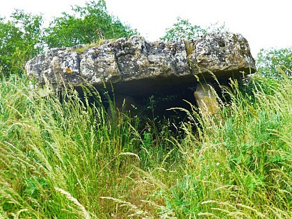 Dolmen de Buzareingues