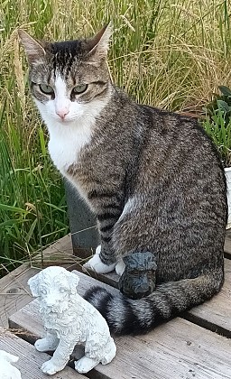 Le jardin de L'encas et L'échoppe