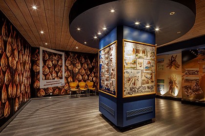 Espace muséographique de la Maison du Jambon de Bayonne
