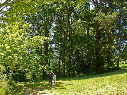 L'Arboretum de Payssas