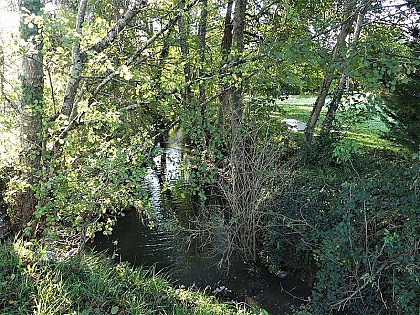 Ruisseau Ladoux