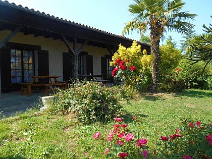 Domaine de Brissonneau : Les Palmiers