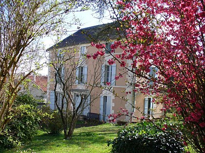 Les Tulipiers