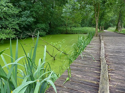 Sur la route vers Vanneau
