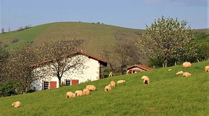 Madame Maritxu TROUNDAY "Matxienia"