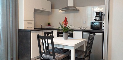 Gîte Pyrène "Le Manoir d'Ossau"