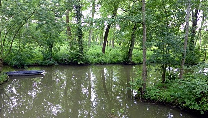 À la route vers Coulon