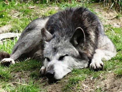 Hébergement insolite - Yukon lodges