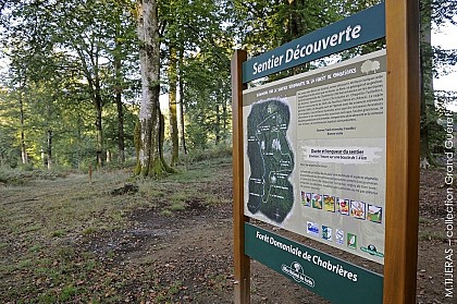 Sentier découverte de la Forêt de Chabrières
