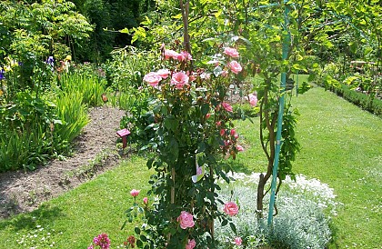 Roseraie du Clos Paradénia