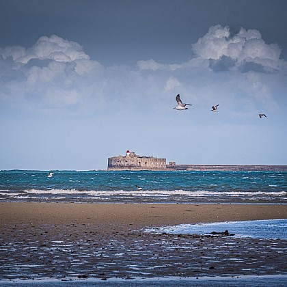 PLAGE DE QUERQUEVILLE