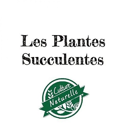 Les Plantes Succulentes