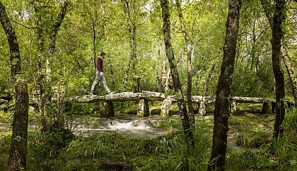 Megalithic bridge