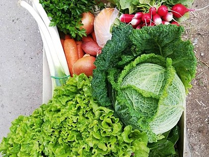 Les Légumes de Chantal