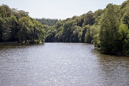 Forêt Domaniale de Saint-Sever