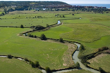 Le marais de Blonville-Villers