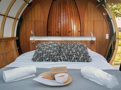 LE CABALLON DE M. PLOCQ