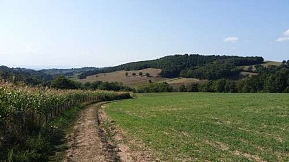 GR 89 court, de la Rochetière (Hte-Rivoire) au Bret (St-Barthélemy)