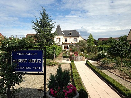 Chambres d'hôtes - Albert HERTZ