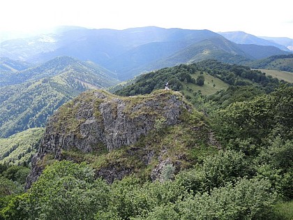 Nature reserve of the Forest of Volcanoes and Vogelsteine