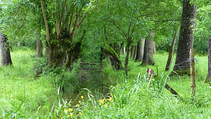 Le Marais de Magné