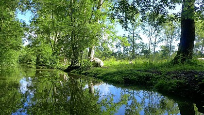 Sainte-Sabine - balade en barque