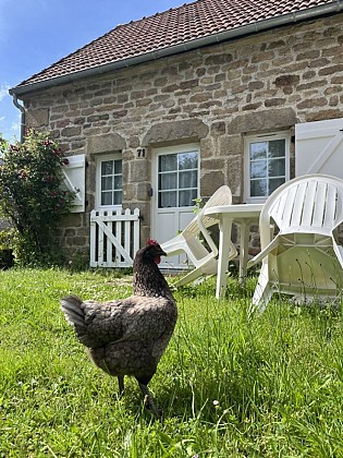 Gîte Le Fer à Cheval Vassivière 4 places