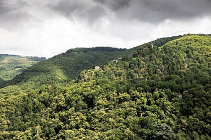 Village Médiéval d'Hautpoul