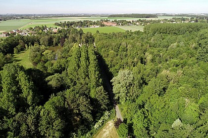 Bois de la Noyelle