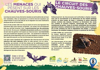 Les menaces qui pèsent sur les chauves-souris
