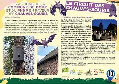 Les actions de la commune de Dour et du PNHP en faveur des chauves-souris