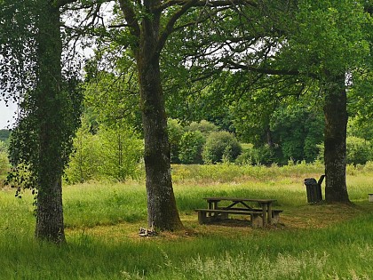 Aire de pique nique de l'étang de la Leyrenne