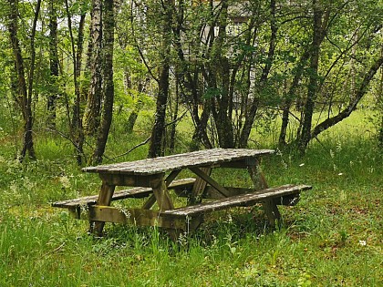 Aire de pique nique du site de la Lande