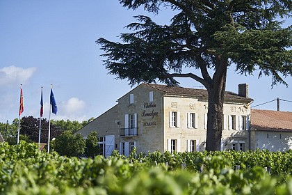 Château Bonalgue