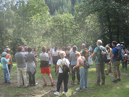 Circuit à pied n°24 au départ de La Capelle (Saint-Hippolyte)